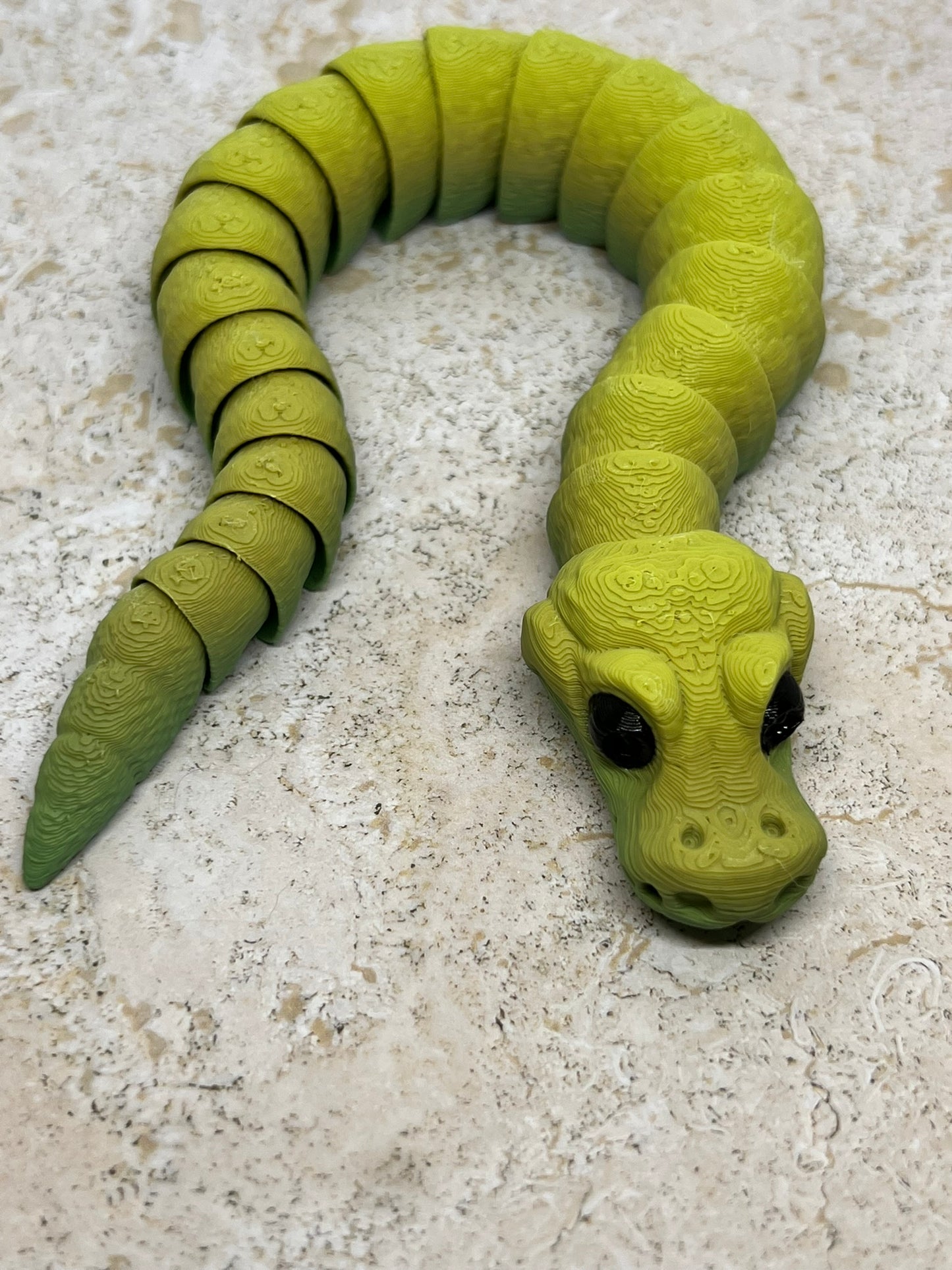 Snake - Young Ball Python